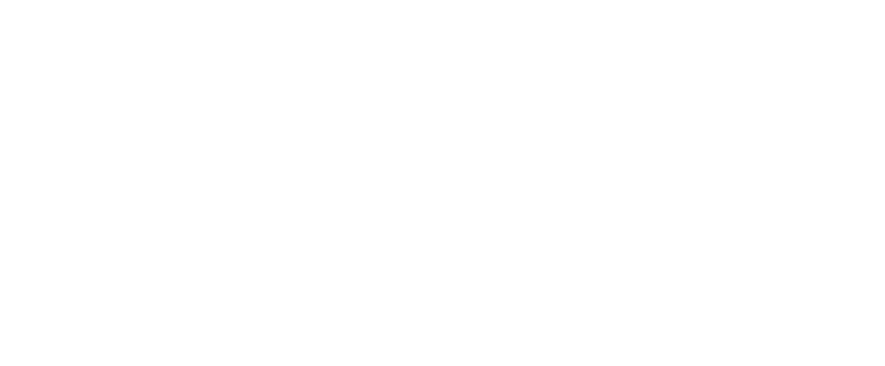 More like home logo